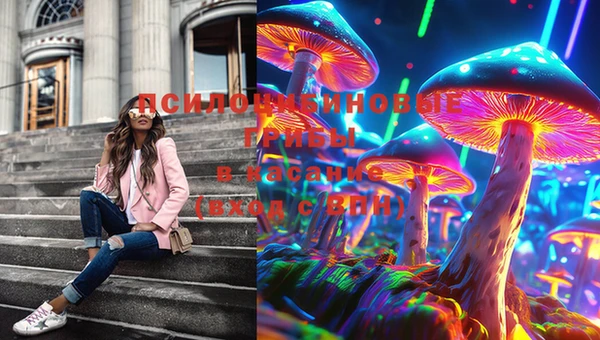 ГАЛЛЮЦИНОГЕННЫЕ ГРИБЫ Липки